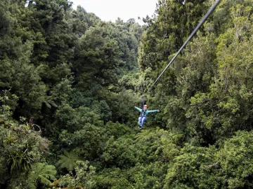 enjoy-canopy-zipline-tour-rotorua-new-zealand.jpg