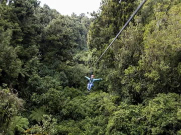 Enjoy the Canopy zipline tour in Rotorua, New Zealand