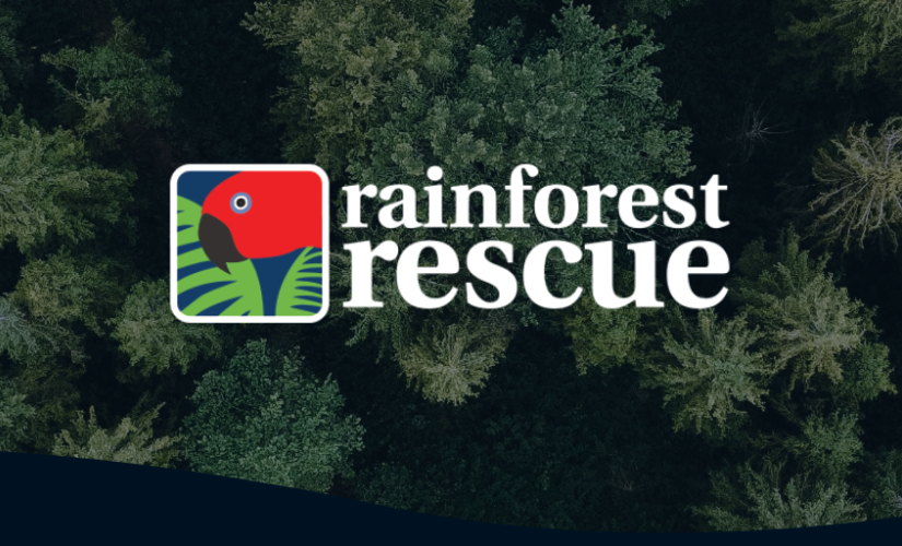'rainforest rescue' logo over background of rainforest