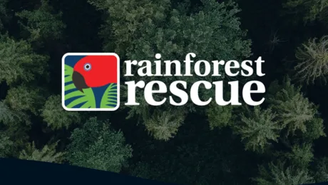 'rainforest rescue' logo over background of rainforest