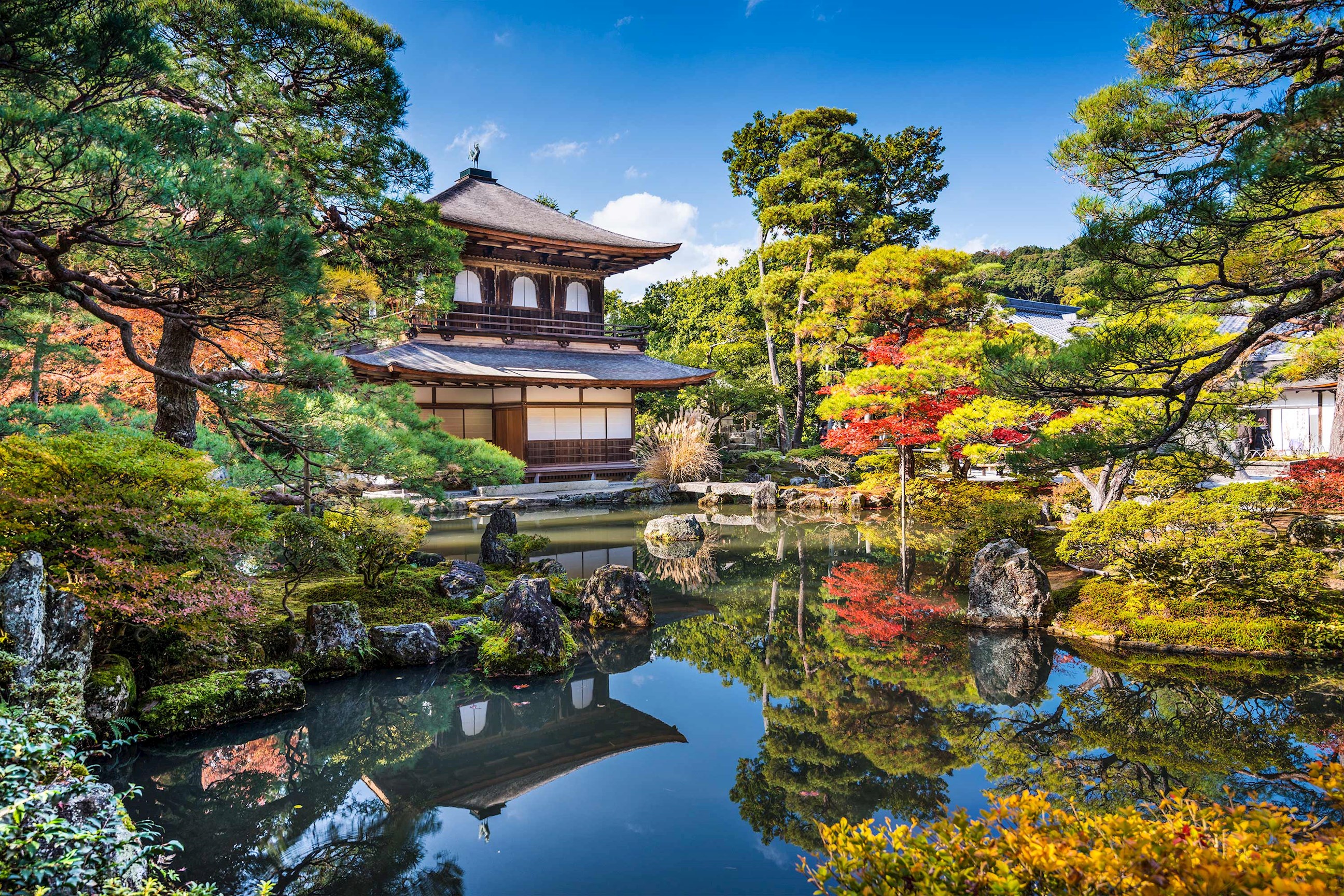 Japanese garden with pond and Ginkaku-ji Temple in Kyoto, Japan
