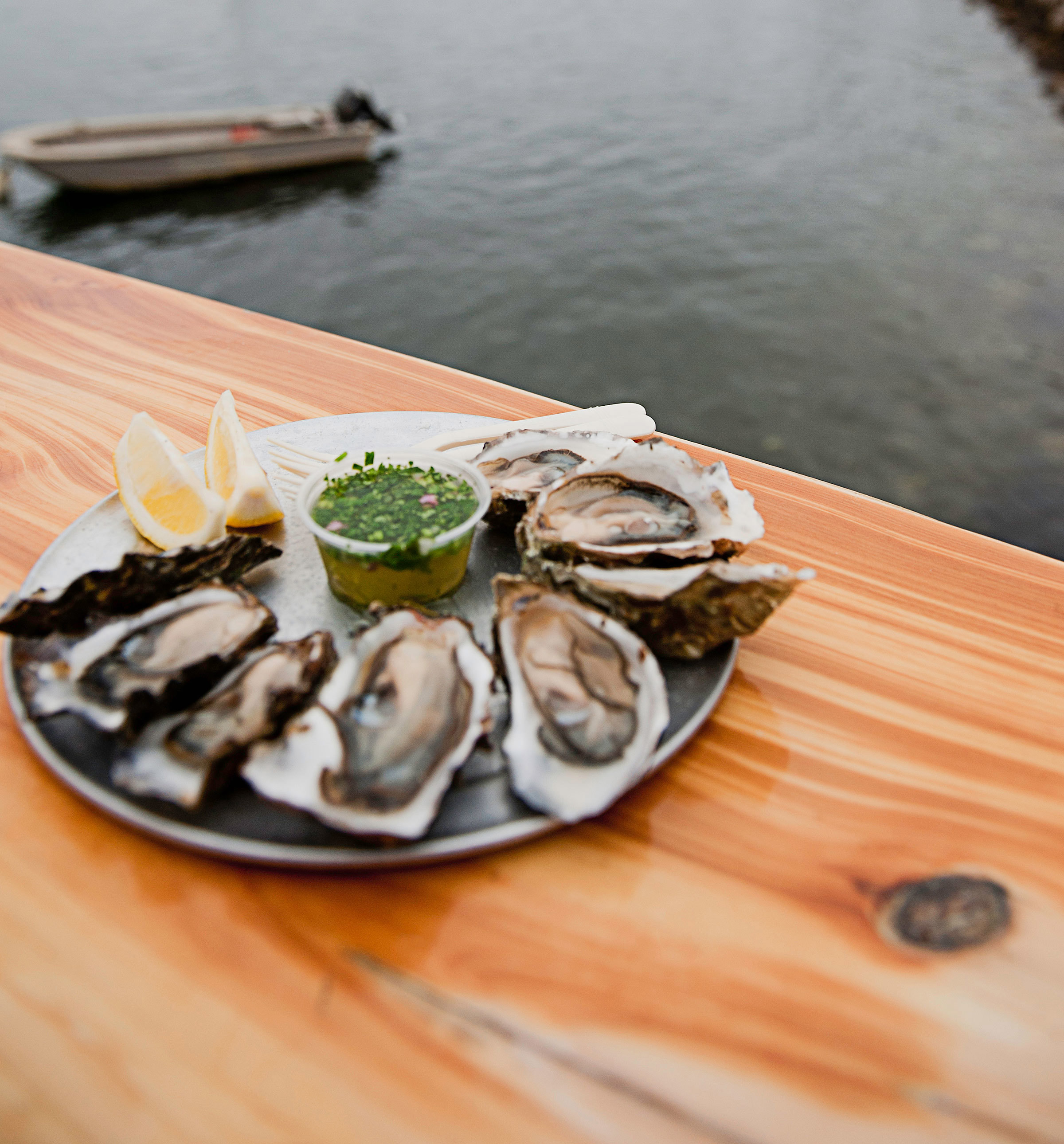 knysna-oyster-tour-knysna-south-africa.jpg