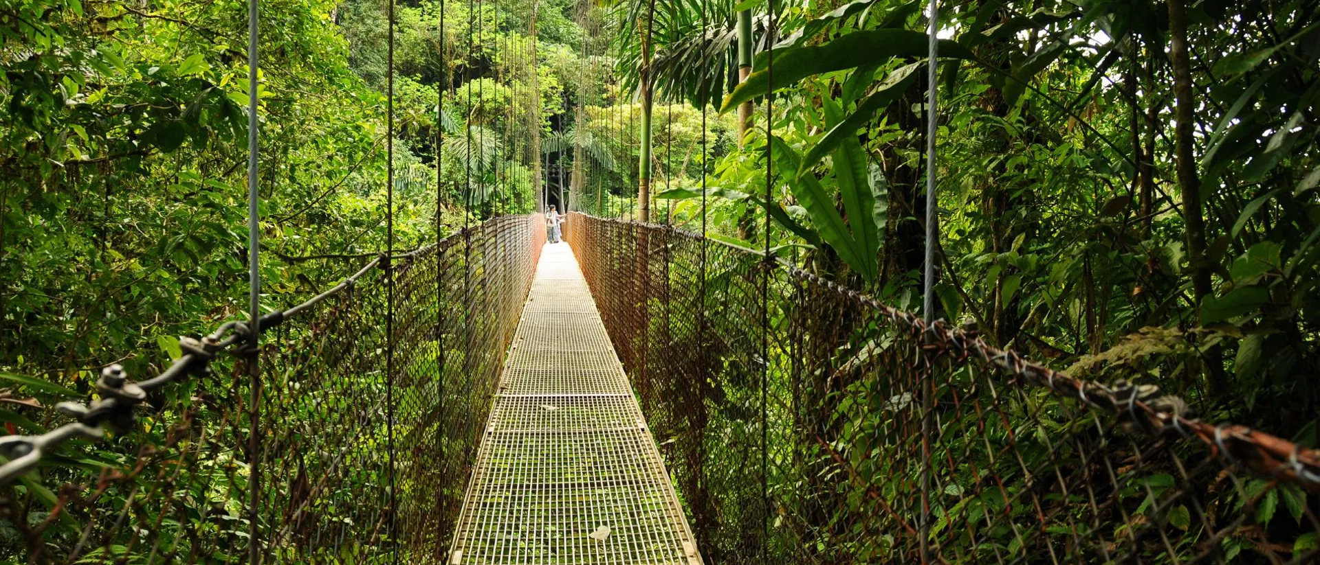 A suspension bridge in the middle of a jungle in Costa Rica