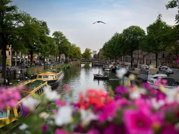 Canal view with boats and flowers on bridge railing in Amsterdam, Netherlands