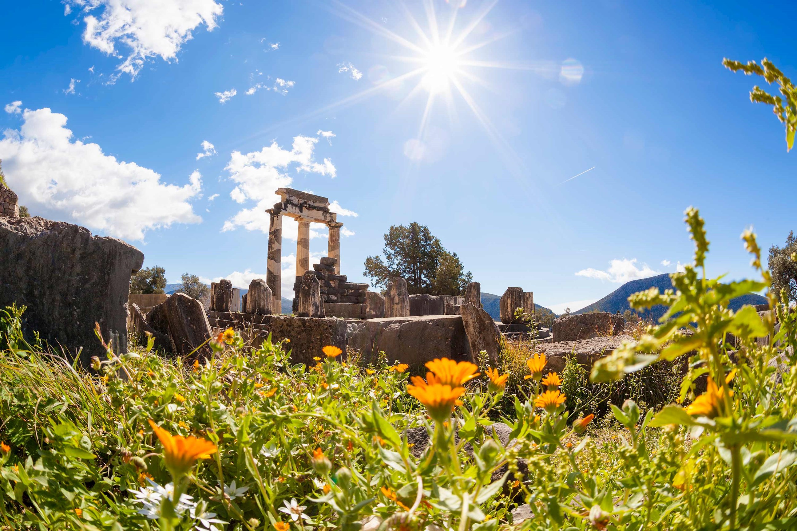 Ruins of Tholos of Delphi with wildflowers in Greece