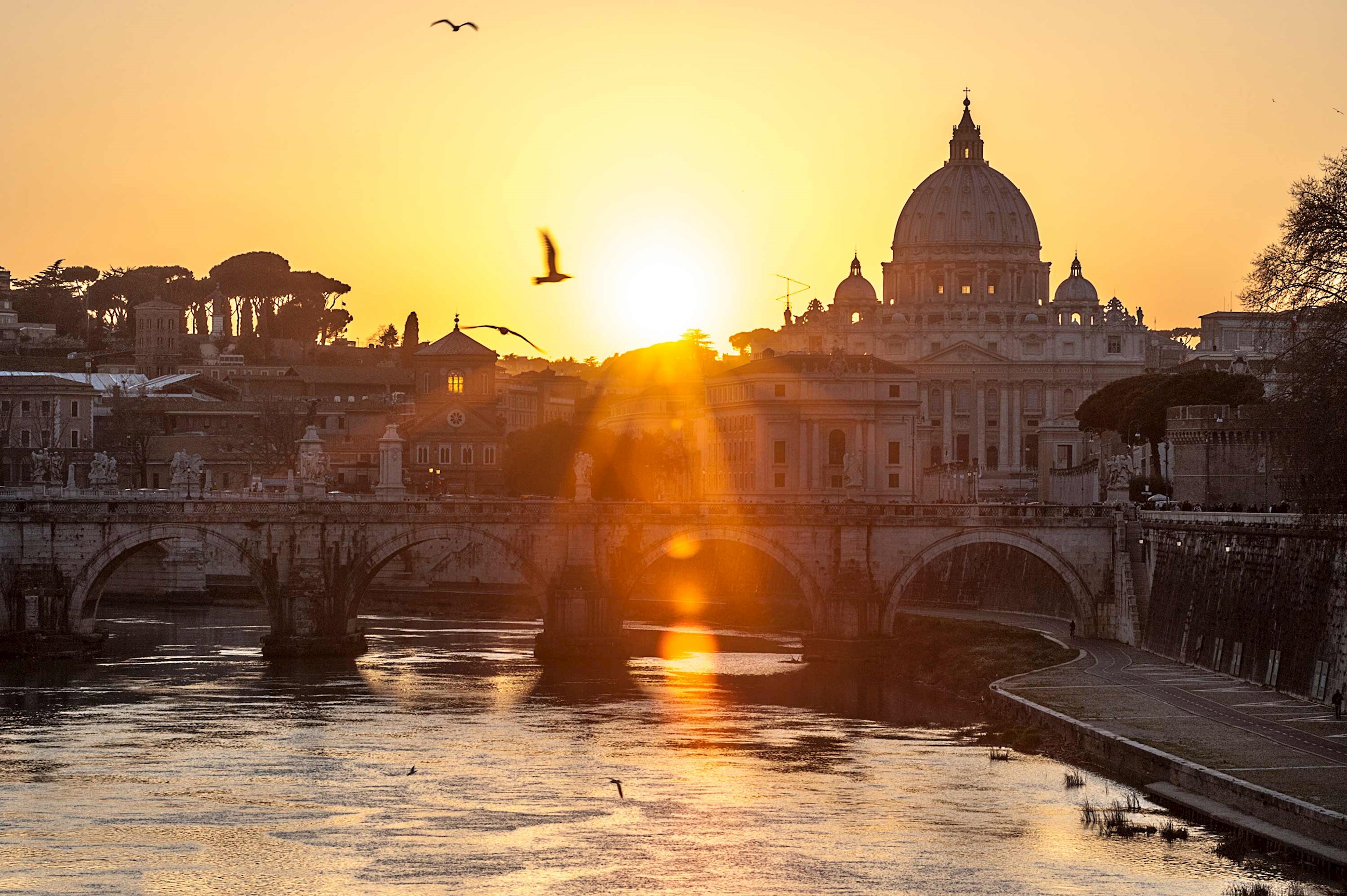 Panoramic view of St. Peter’s Basilica and skyline at sunset in Rome, Italy