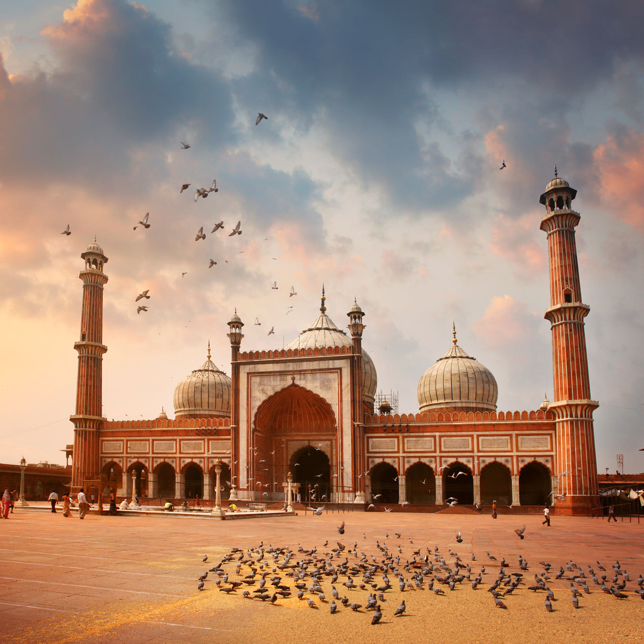 Birds flying over the Red Fort in Delhi, India
