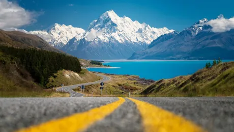 road-to-new-zealand.jpeg
