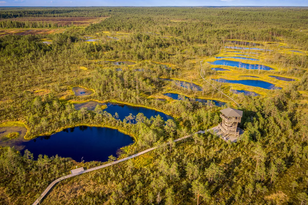 Lahemaa National Park in Estonia