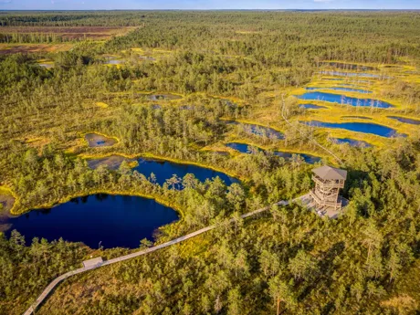 Lahemaa National Park in Estonia