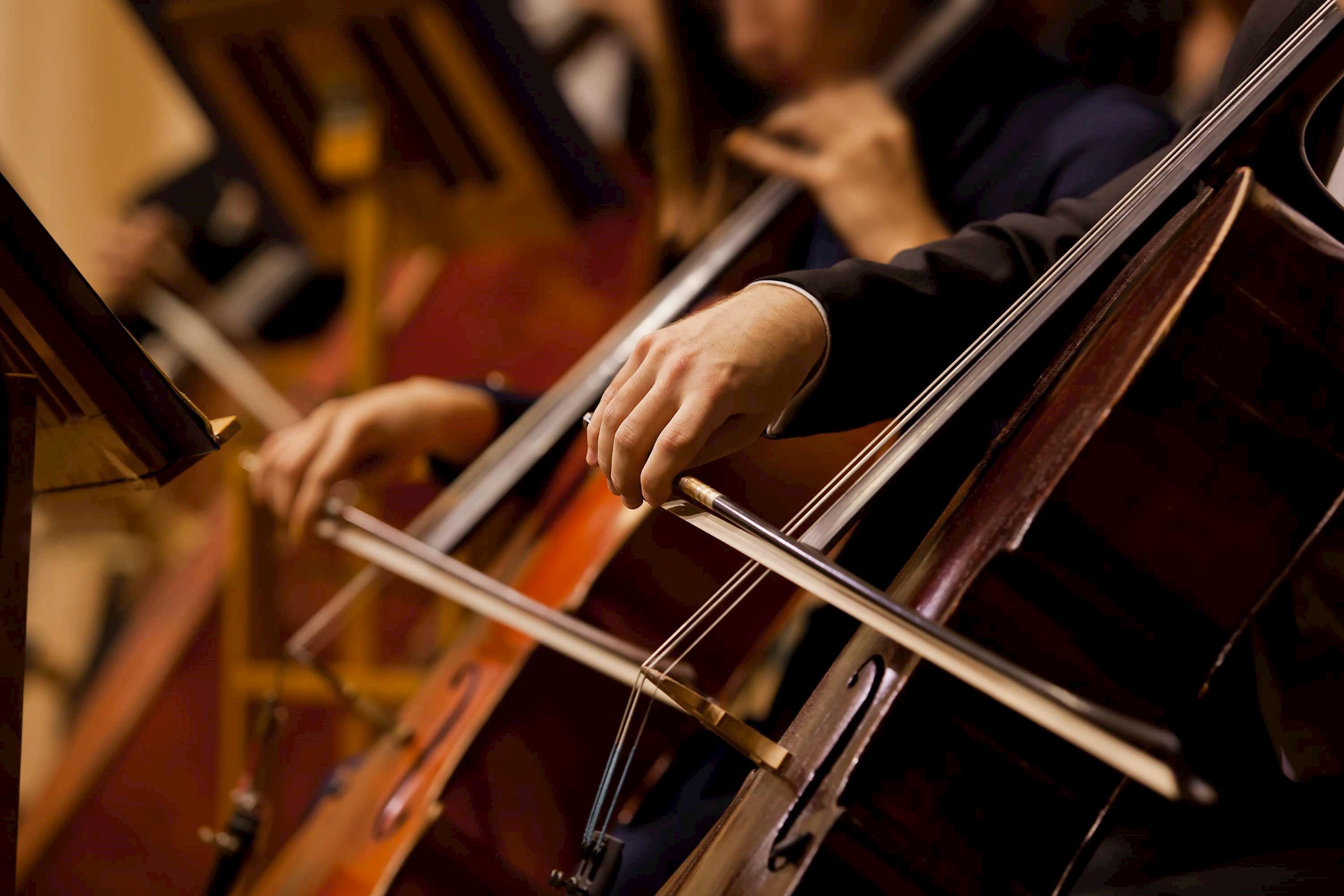 Cellists playing cellos with bows in Vienna, Austria