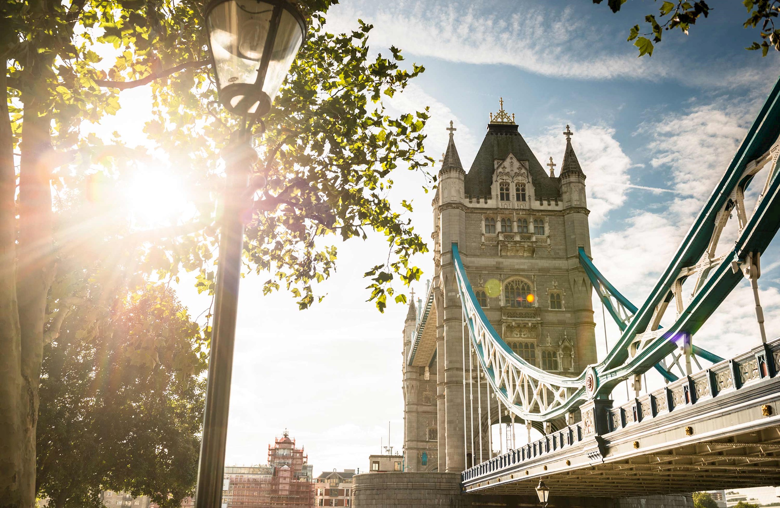 A sunny view of greenery and architecture in London, England