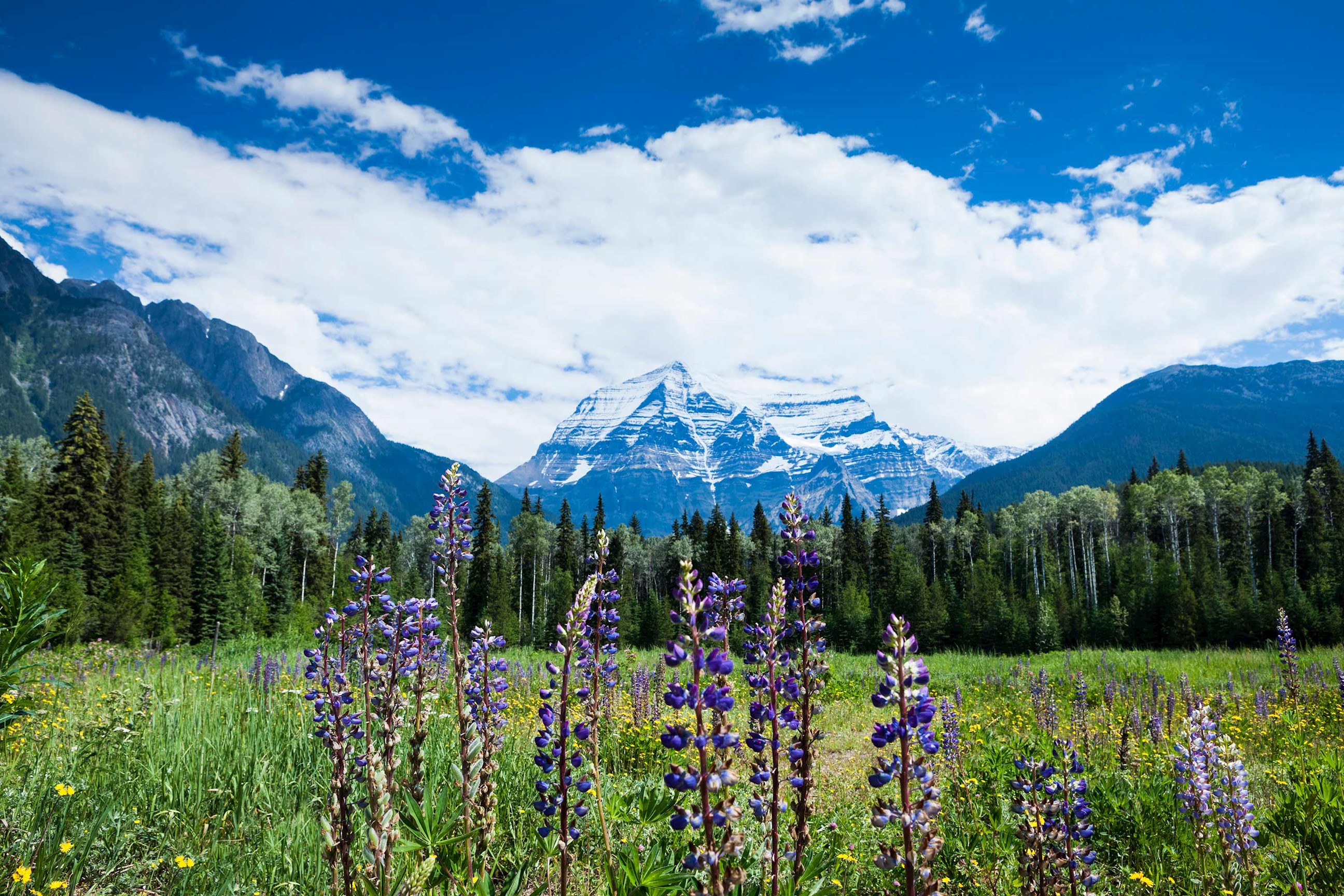 Panoramic Canadian Rockies with Rocky Mountaineer Guided Tour