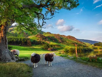 Britain and Ireland Delight Guided Tour