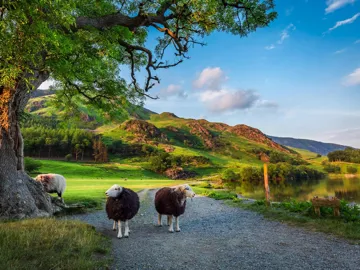 Britain and Ireland Delight Guided Tour
