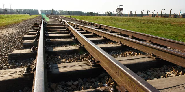 A train track with a grassy field in the background in Poland Auschwitz