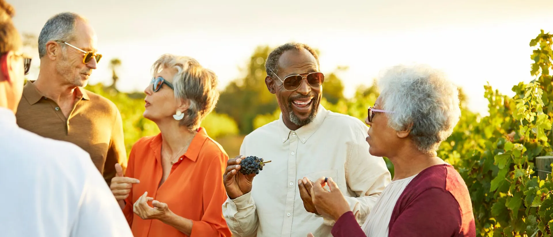 Smiling guests standing in between grape vines on a vineyard.