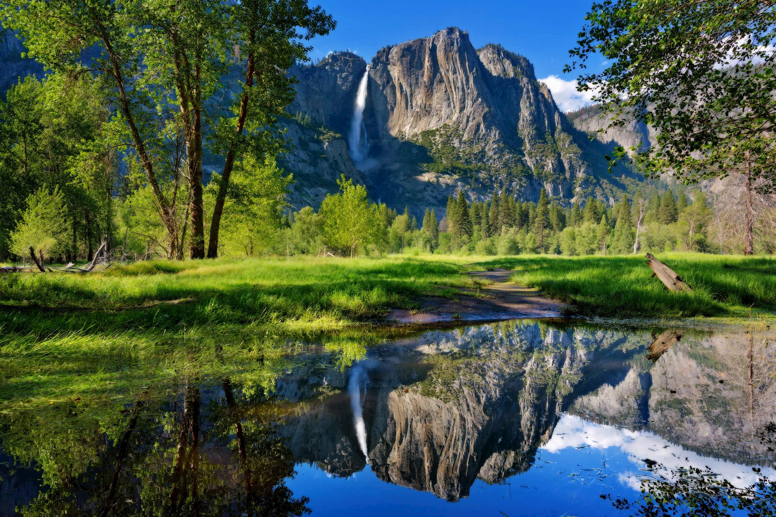 View of Yosemite National Park, Las Vegas, USA