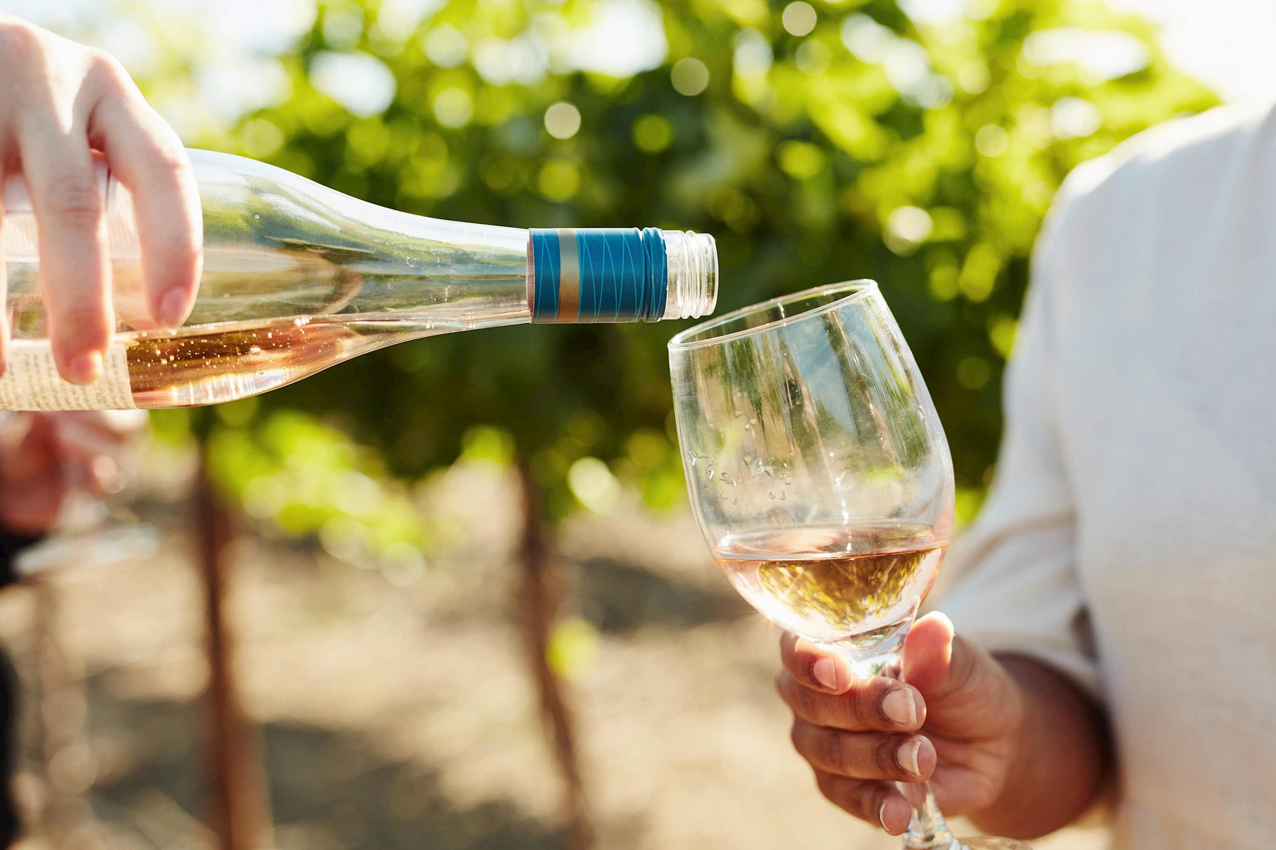 Close-up of rosé wine being poured into glass in vineyard setting