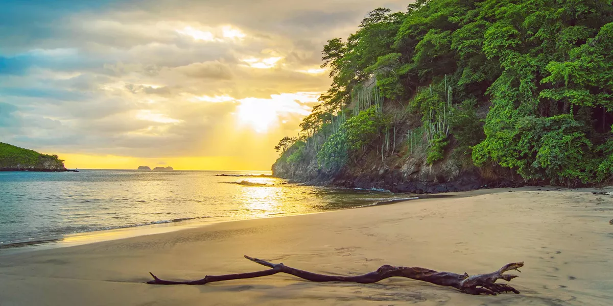 Costa Rica Adventure with Tortugero and Guanacaste Guided Tour