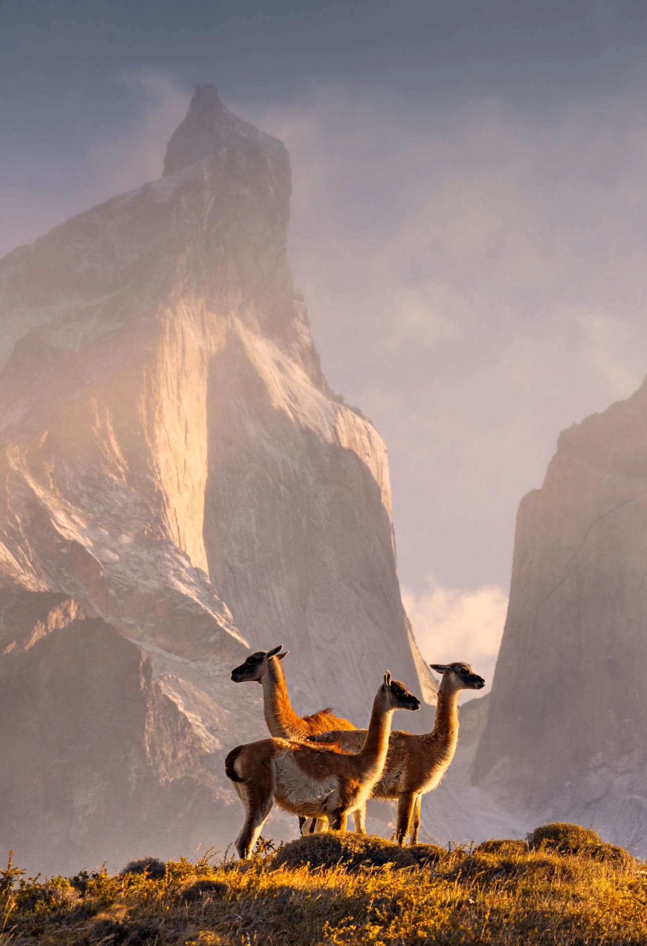 A group of people sitting on top of a snow covered mountain in Peru