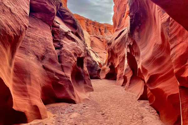 rattlesnake-canyon-page-arizona-usa.jpg