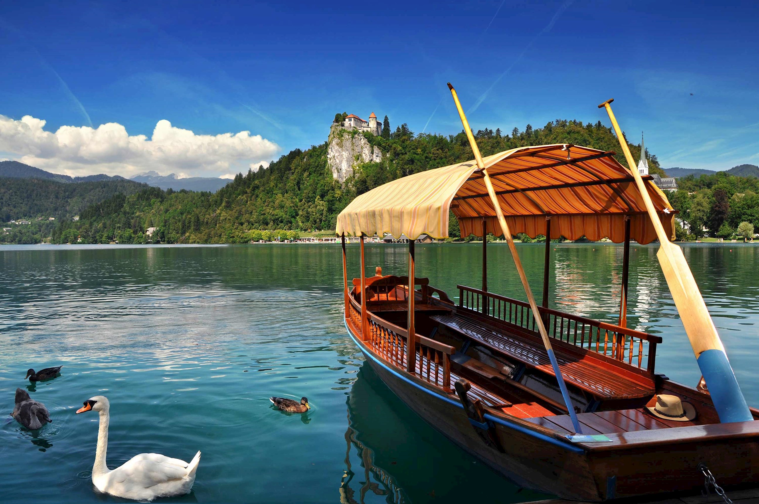 Traditional wooden pletna boat with striped canopy floating on Lake Bled with swans and Bled Castle in background