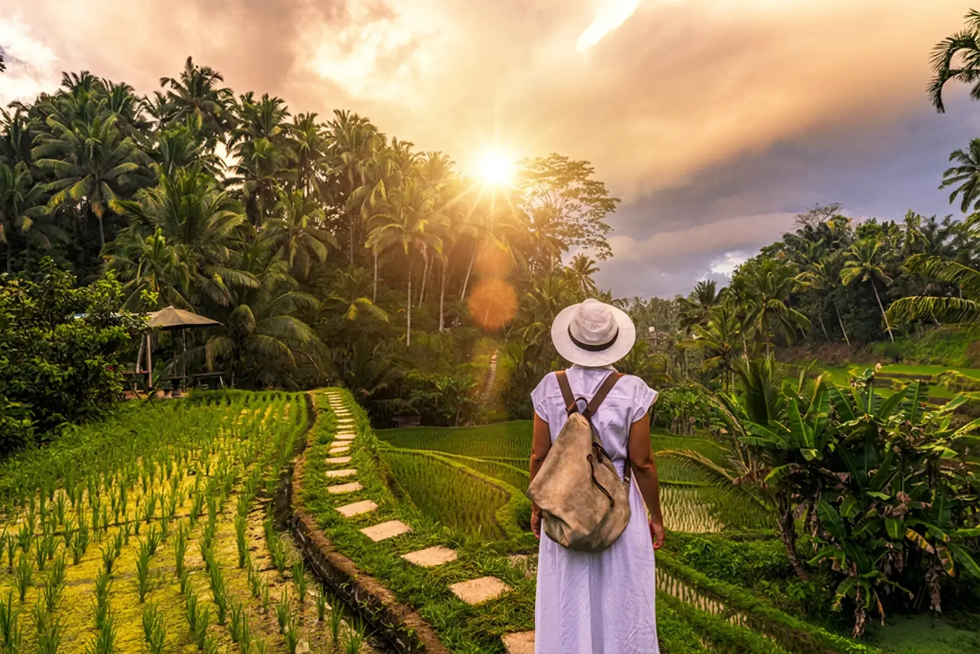 Day Hero, Woman in Rice Fields, Ubud, Bali