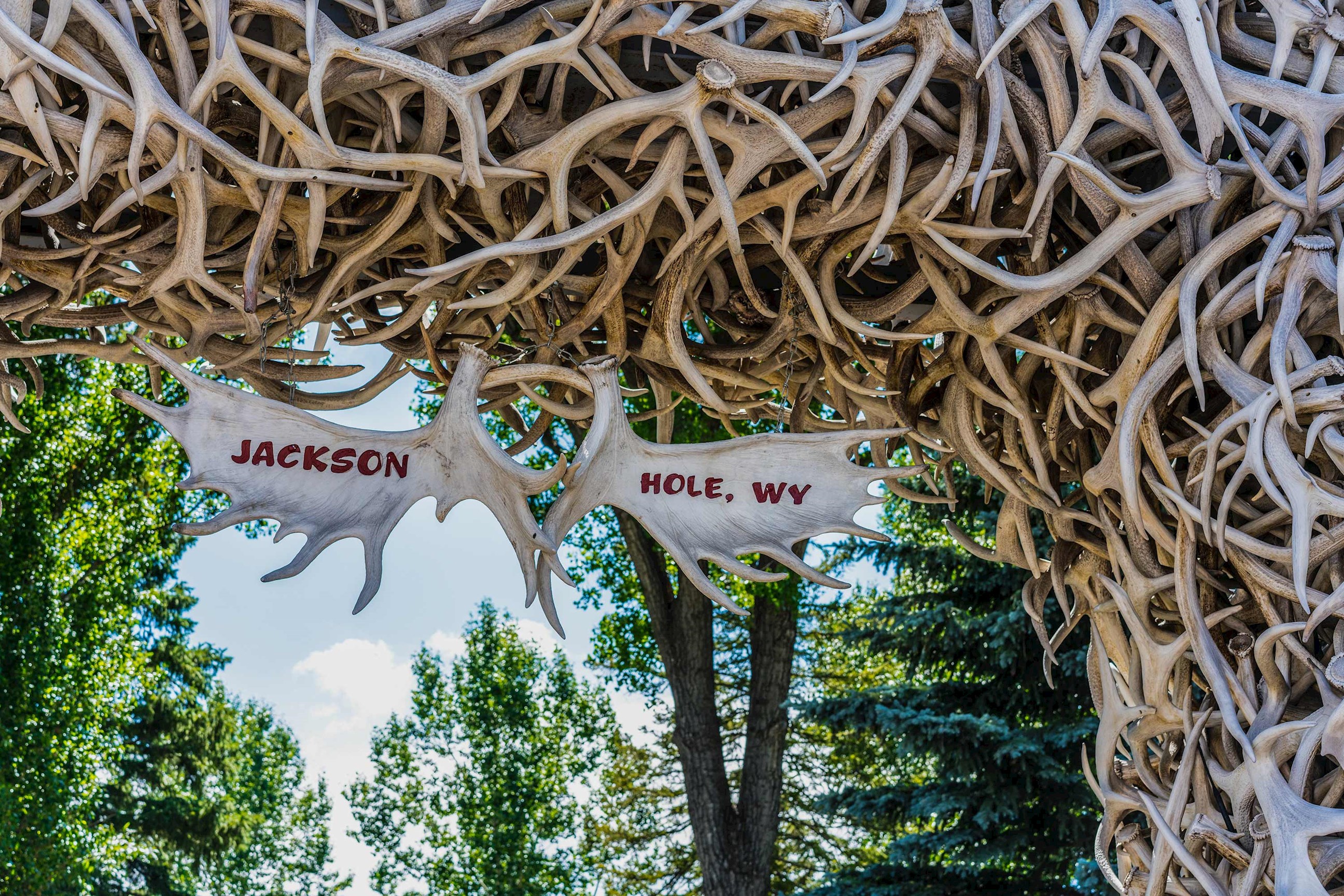 Antler arch in Salt Lake City, USA