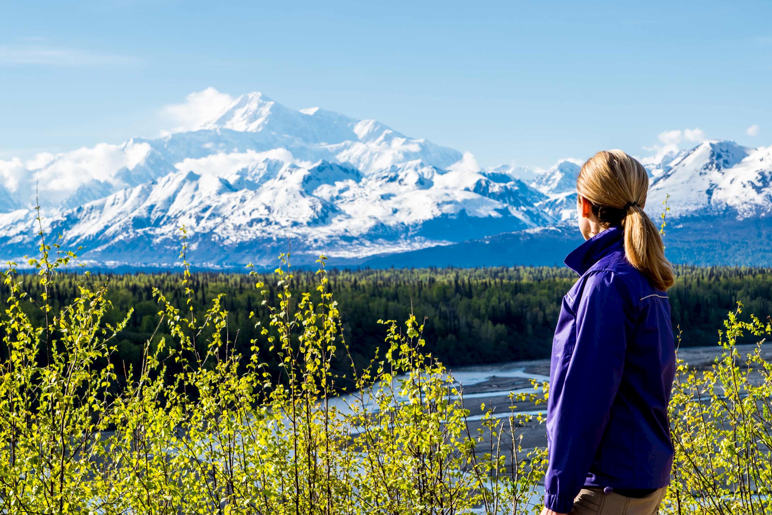 Enjoy a Denali National Park wilderness walking tour, Alaska, USA