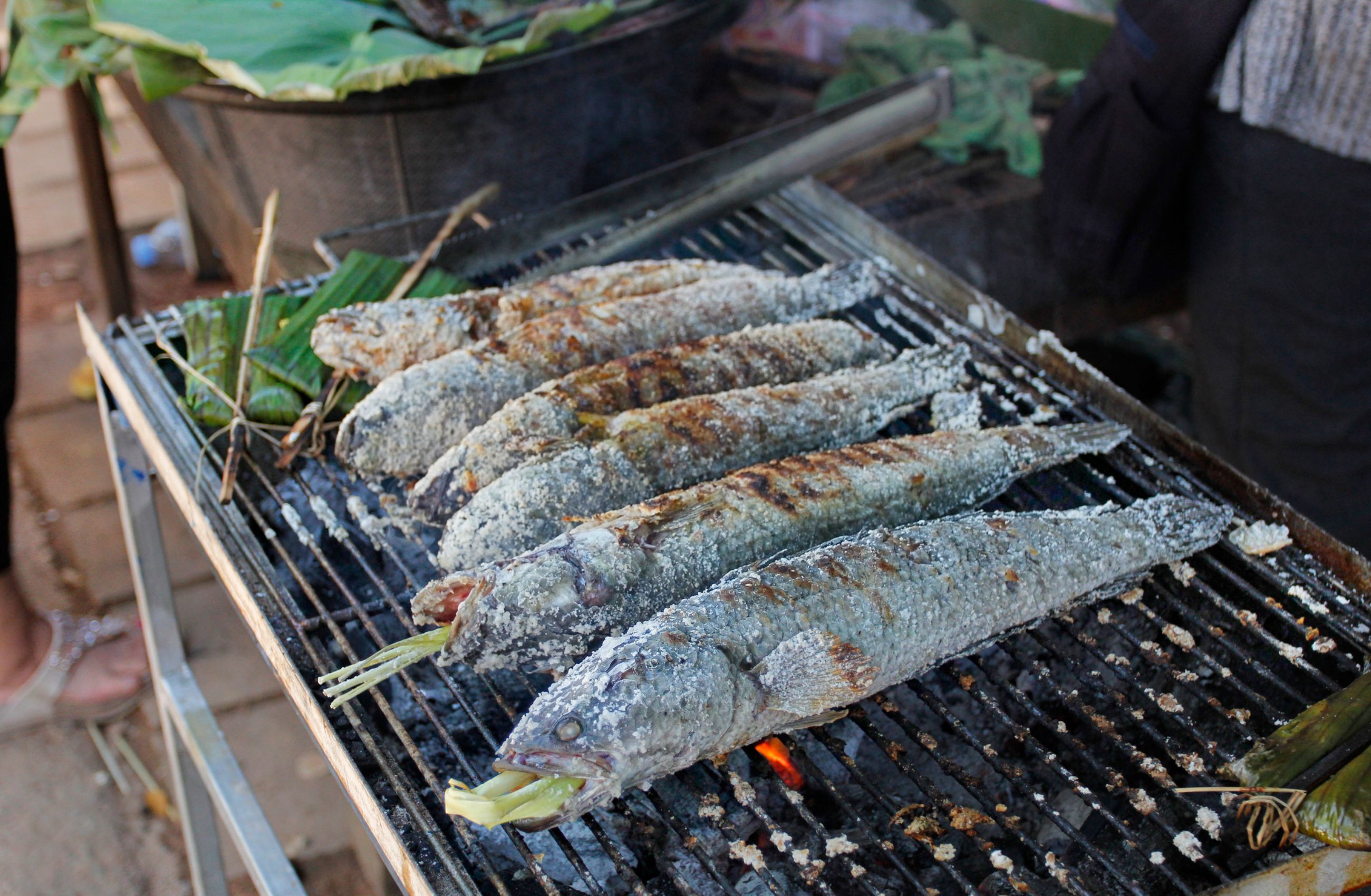 Fish cooking on a grill in the traditional Khmer style of Cambodia.