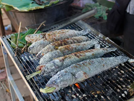 Fish cooking on a grill in the traditional Khmer style of Cambodia.