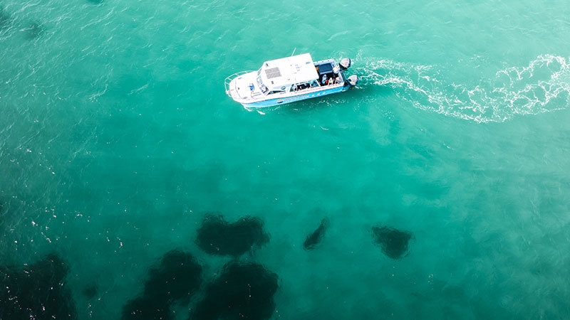 marine-safari.jpg