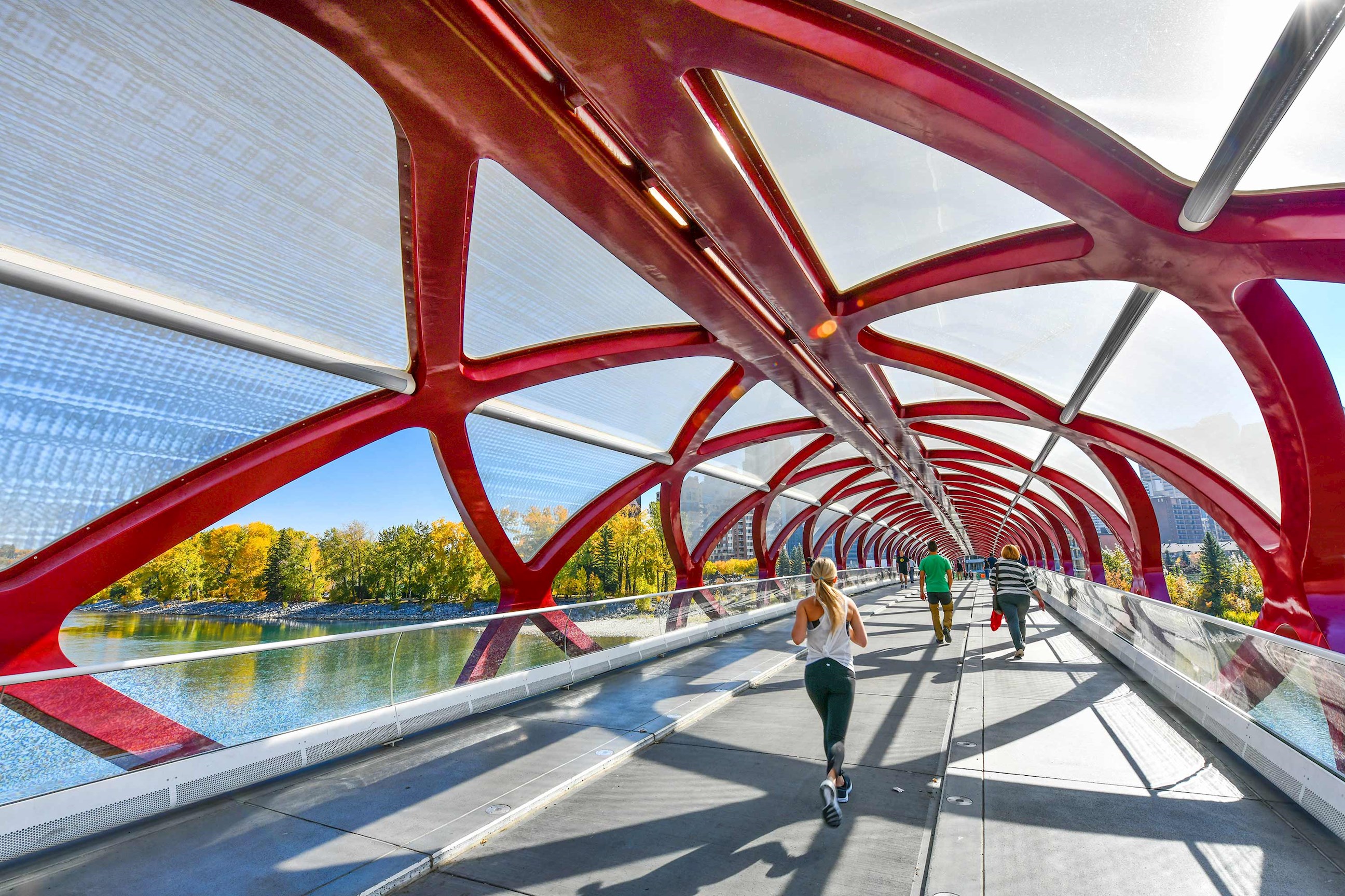 Peace Bridge in Calgary, Canada