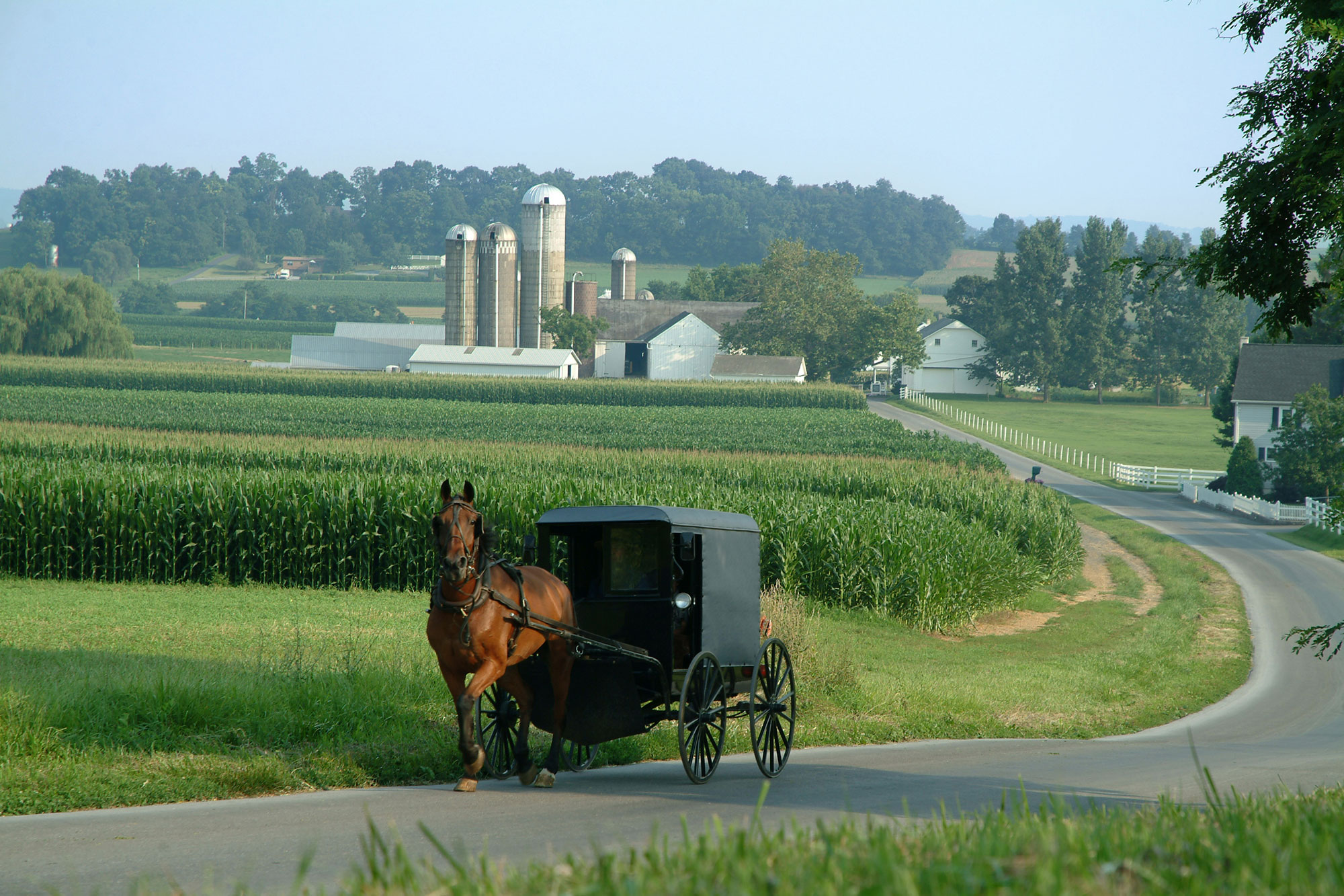 amish-farm-tour-dinne-pennsylvania-dutch-farm-country-pennsylvania-usa.jpg