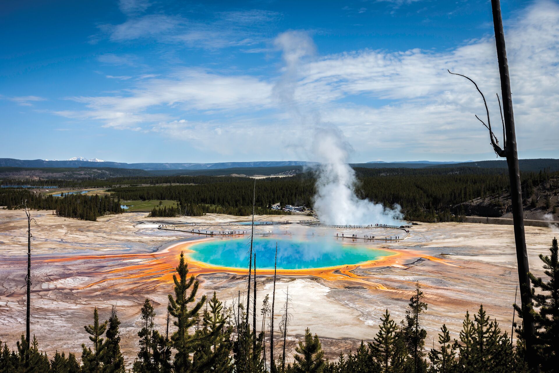 Hot spring in Yellowstone with various colours, with trees in the foreground