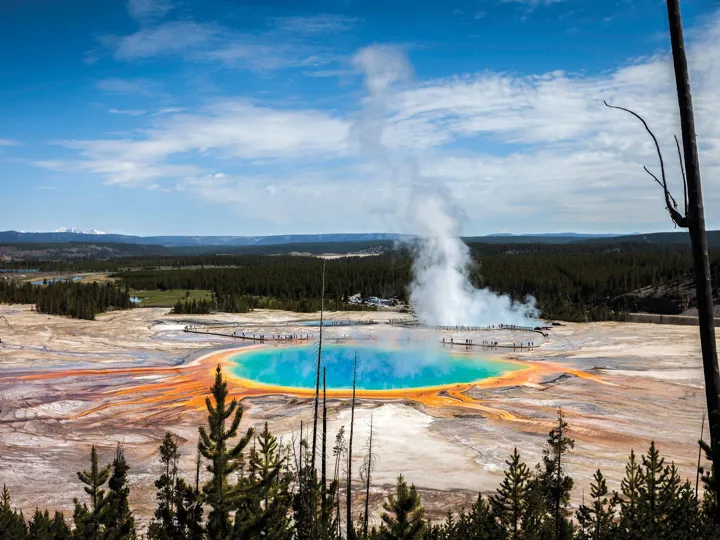 Hot spring in Yellowstone with various colours, with trees in the foreground