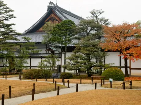 Nijo Castle Kyoto Japan in beautiful gardens in Autumn