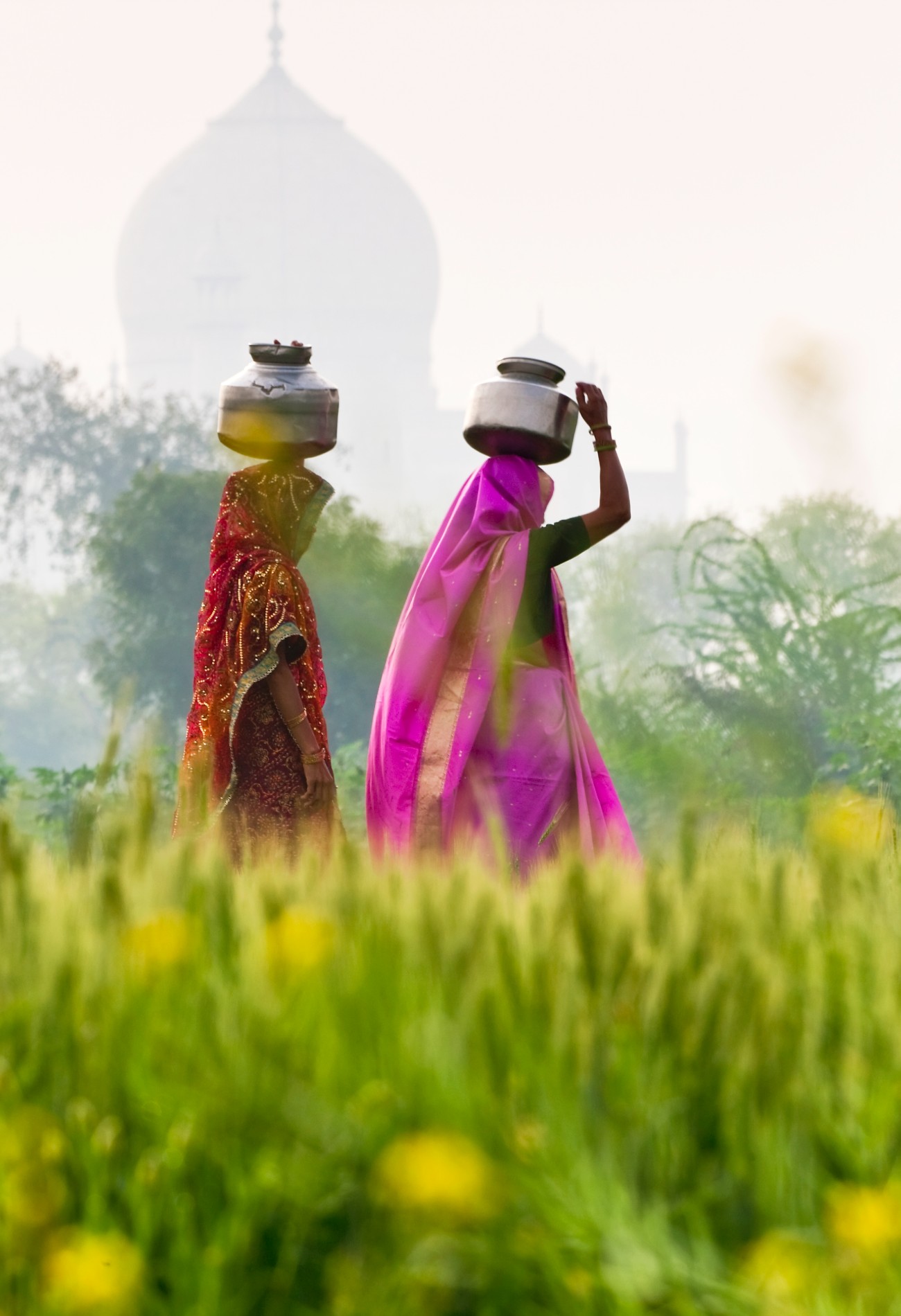 Women On Field With Taj Mahal In Background