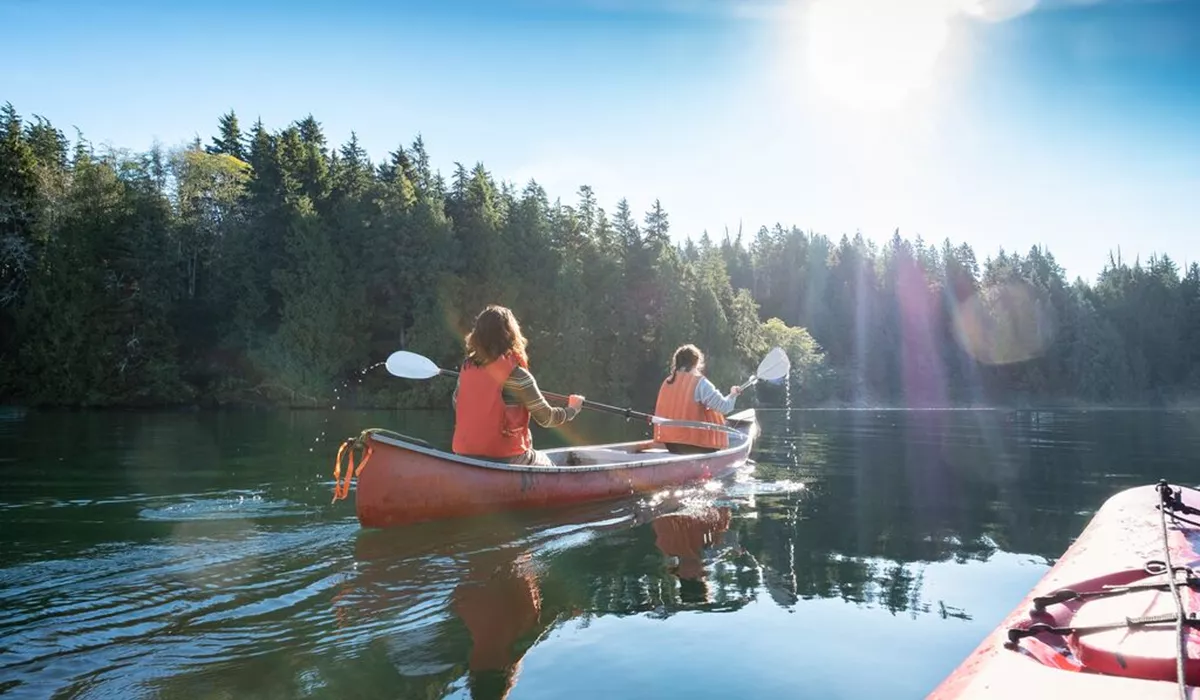 Sunlit summer kayaking with women canoeing in wilderness on inlet