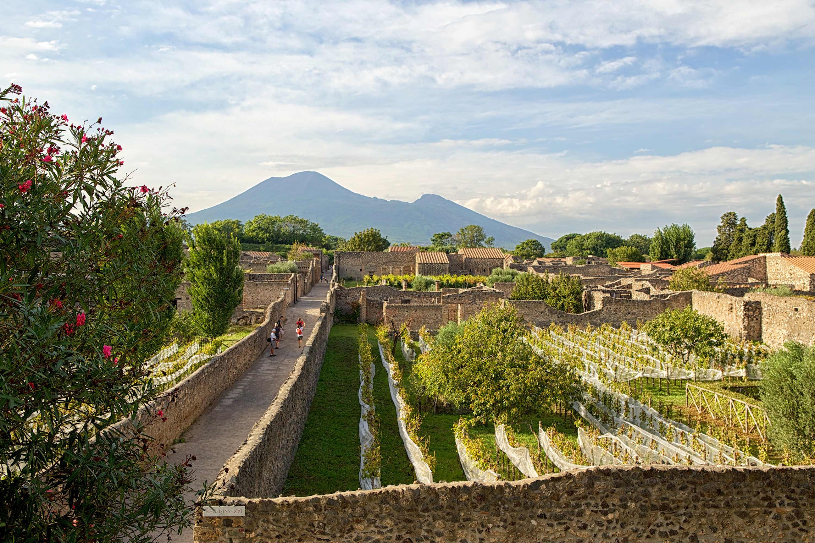 Panoramic view of ancient ruins with Mount Vesuvius in the background in Pompeii, Italy