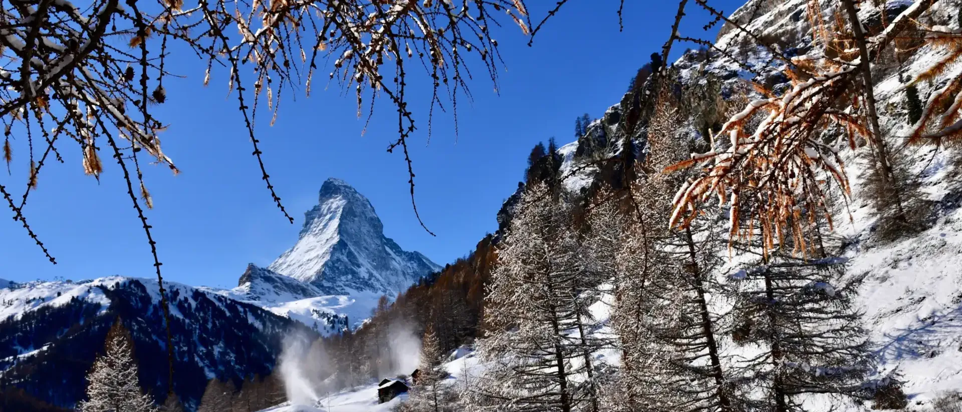 Snow on Mountains with blue sky and trees in foreground. Swiss Alps Switzerland Vacation