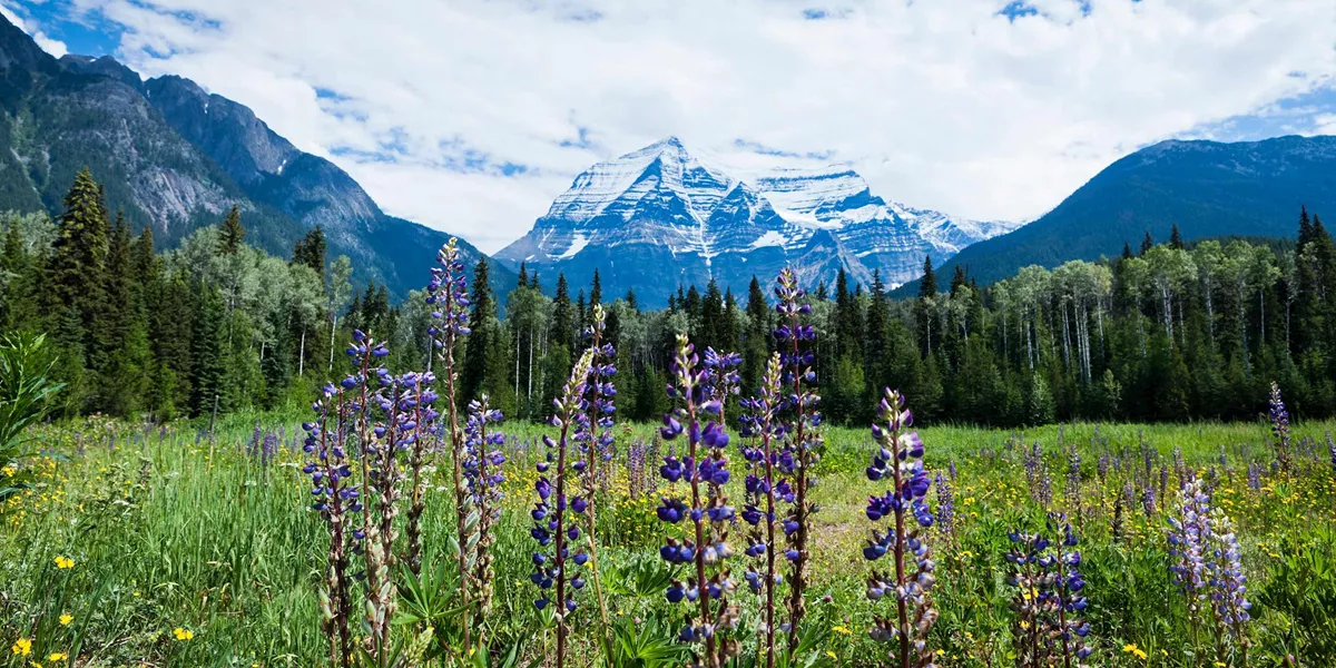 Panoramic Canadian Rockies with Rocky Mountaineer Guided Tour