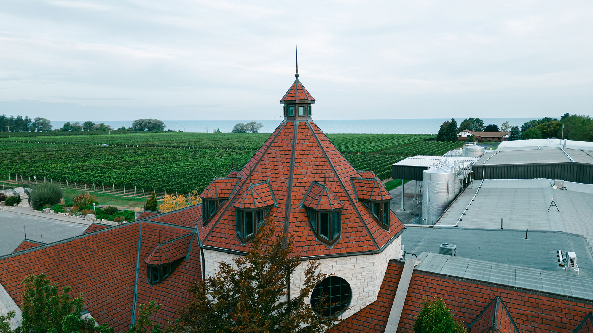 niagara-lake-excursion-wine-tasting-niagara-new-york-usa.jpg
