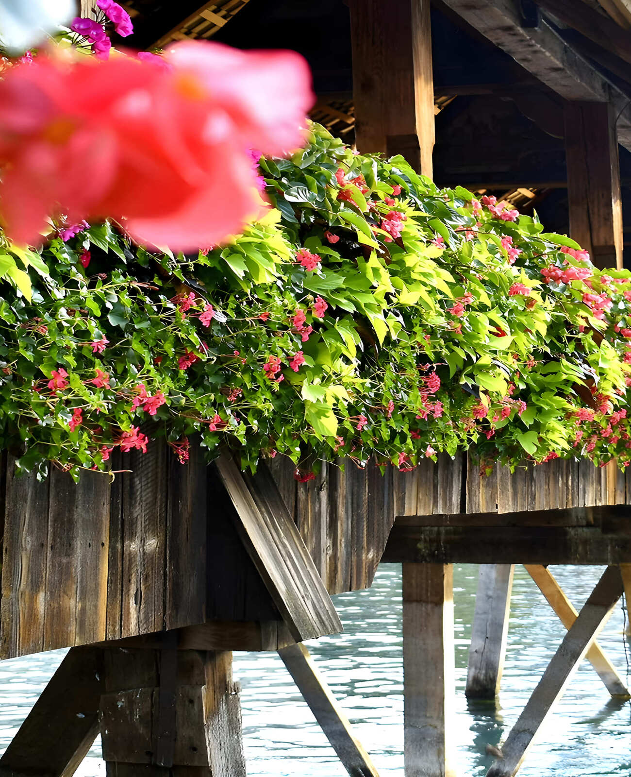  Scenic Bridge with flowers hanging from the sides in Lucerne, Switzerland