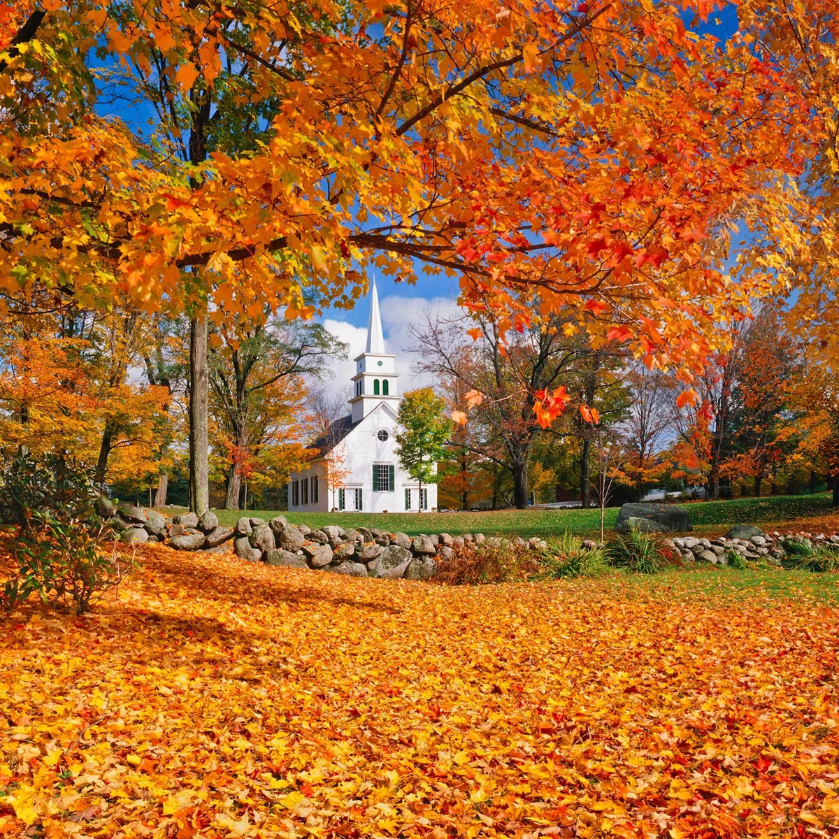 Fall Colours of New England, USA Budget Tour