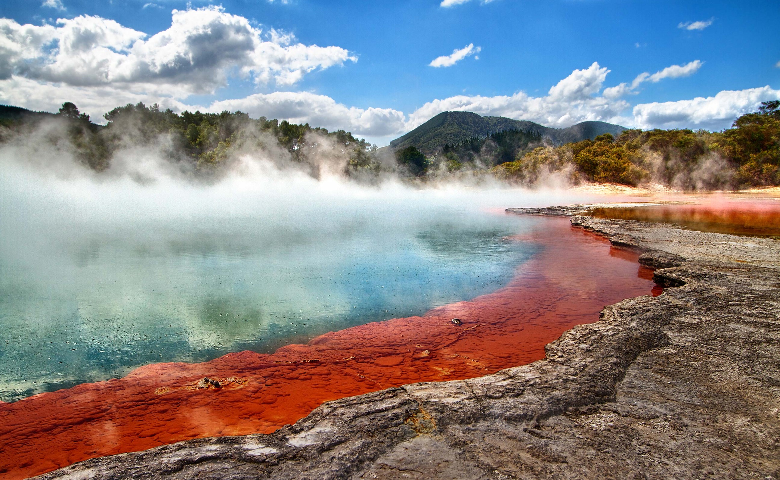 Visit Rotorua, a geo thermal pool in New Zealand
