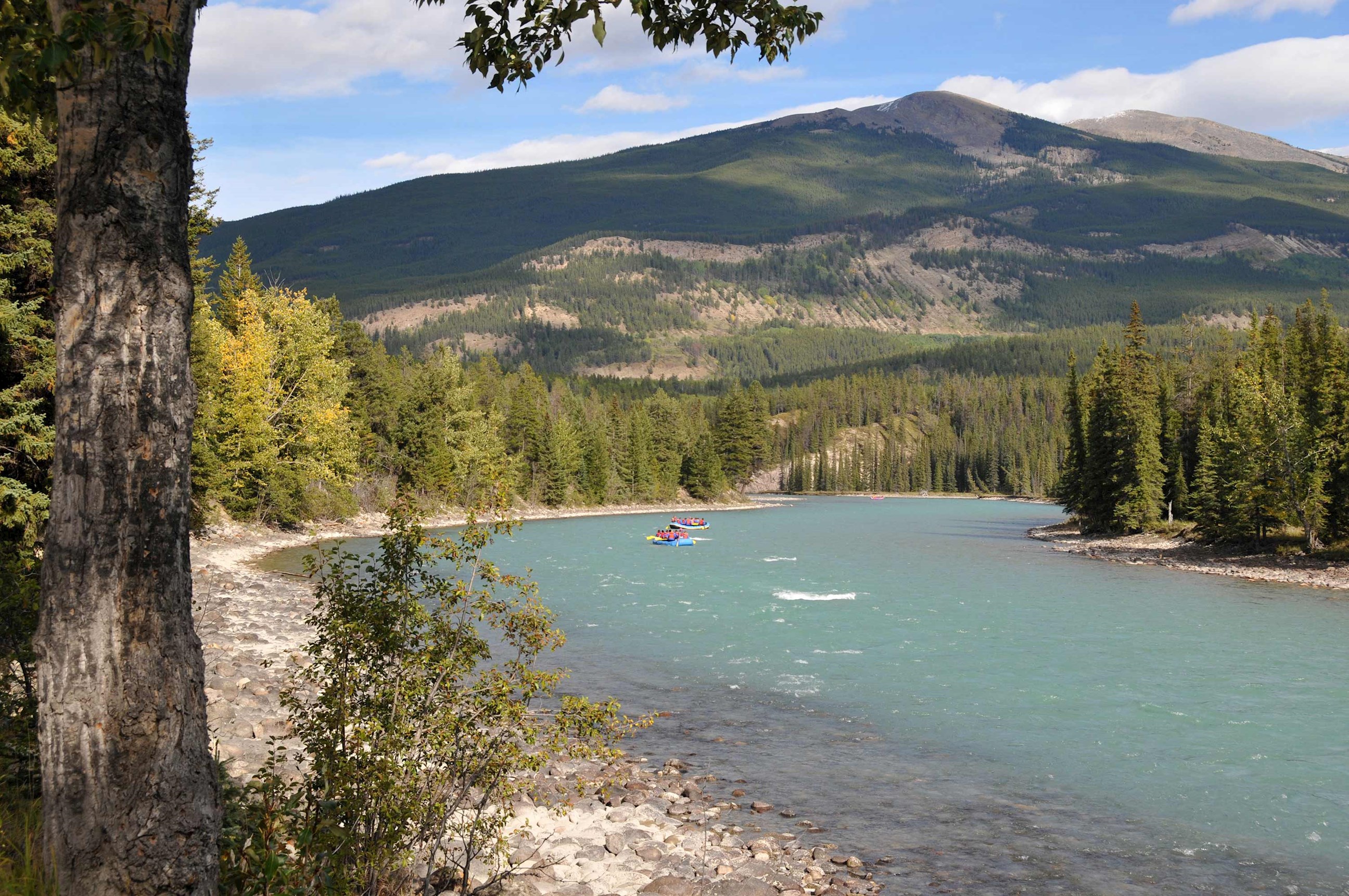 experience-a-scenic-float-trip-down-the-athabasca-river-in-jasper-national-park-canada.jpg
