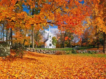 Fall Colours of New England Guided Tour