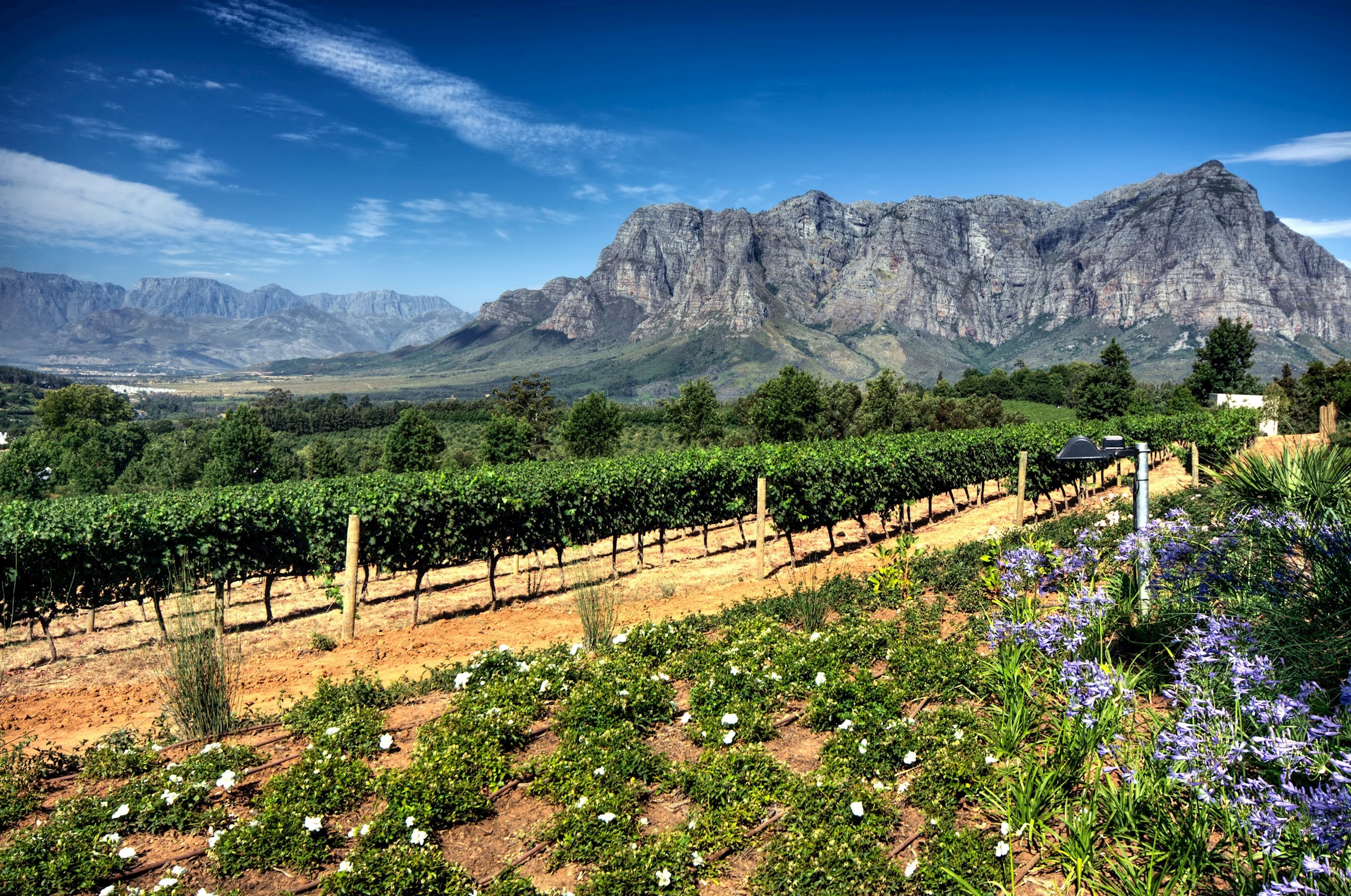 cape-winelands-south-africa.jpg